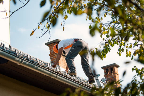 Best Residential Roofing Contractor  in Monticello, IL