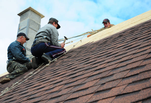 Best Roof Gutter Cleaning  in Monticello, IL